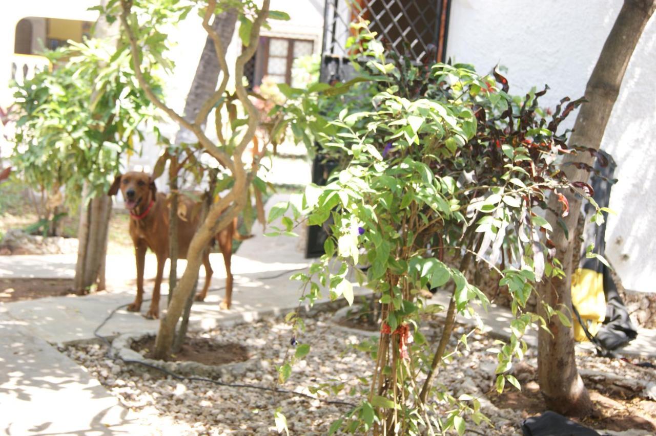 Luciano & Grace Apartments Watamu Kültér fotó