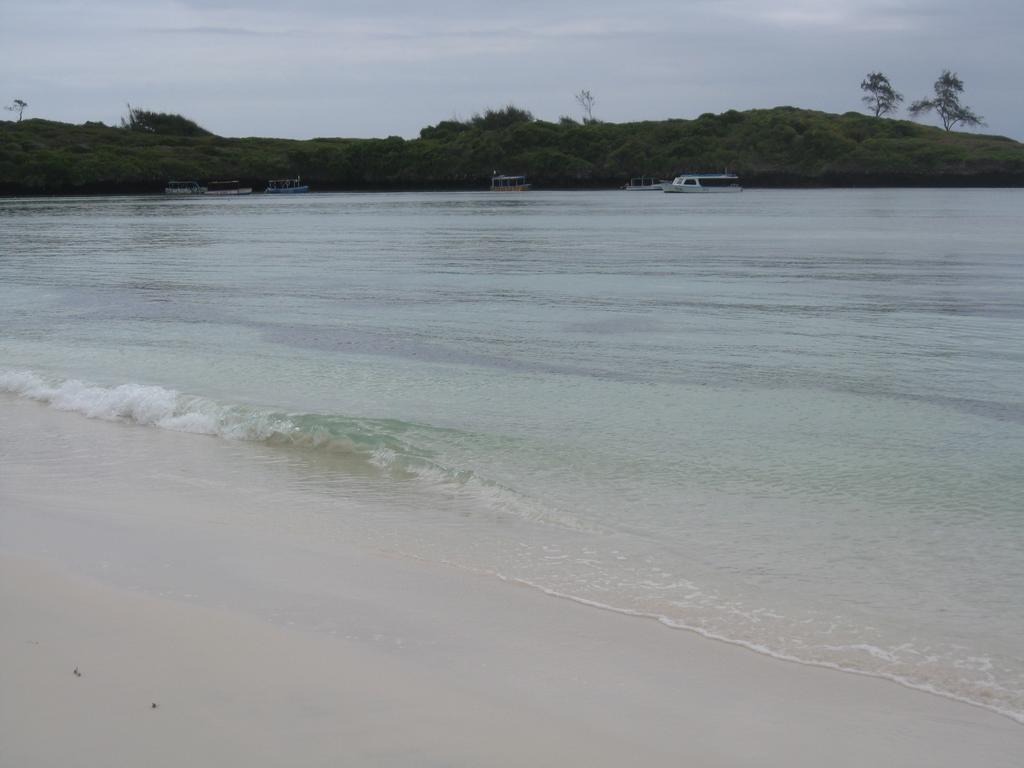 Luciano & Grace Apartments Watamu Kültér fotó